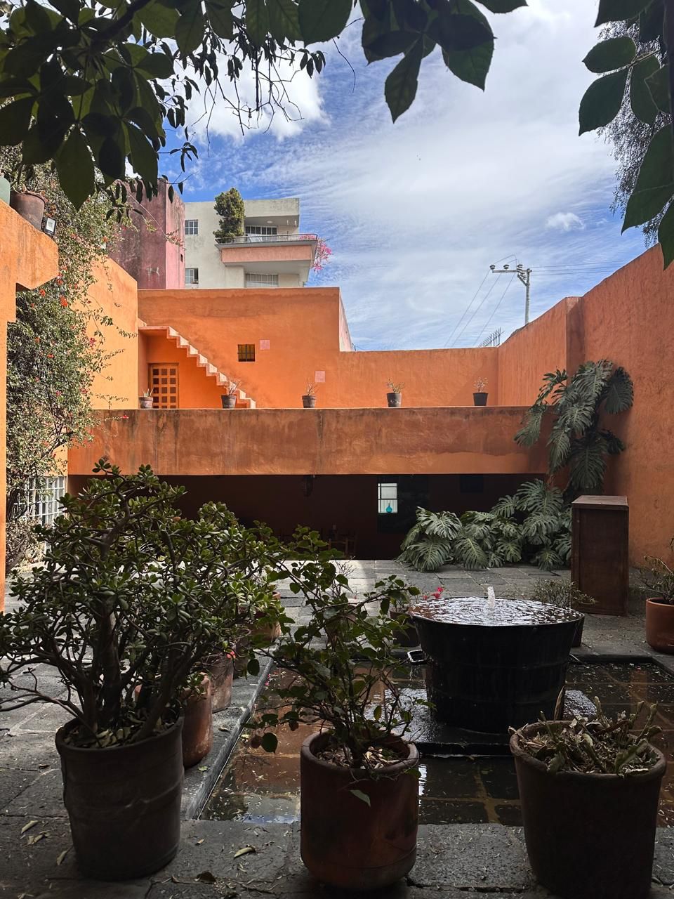 Casa Ortega: El Jardín Oculto de Barragán