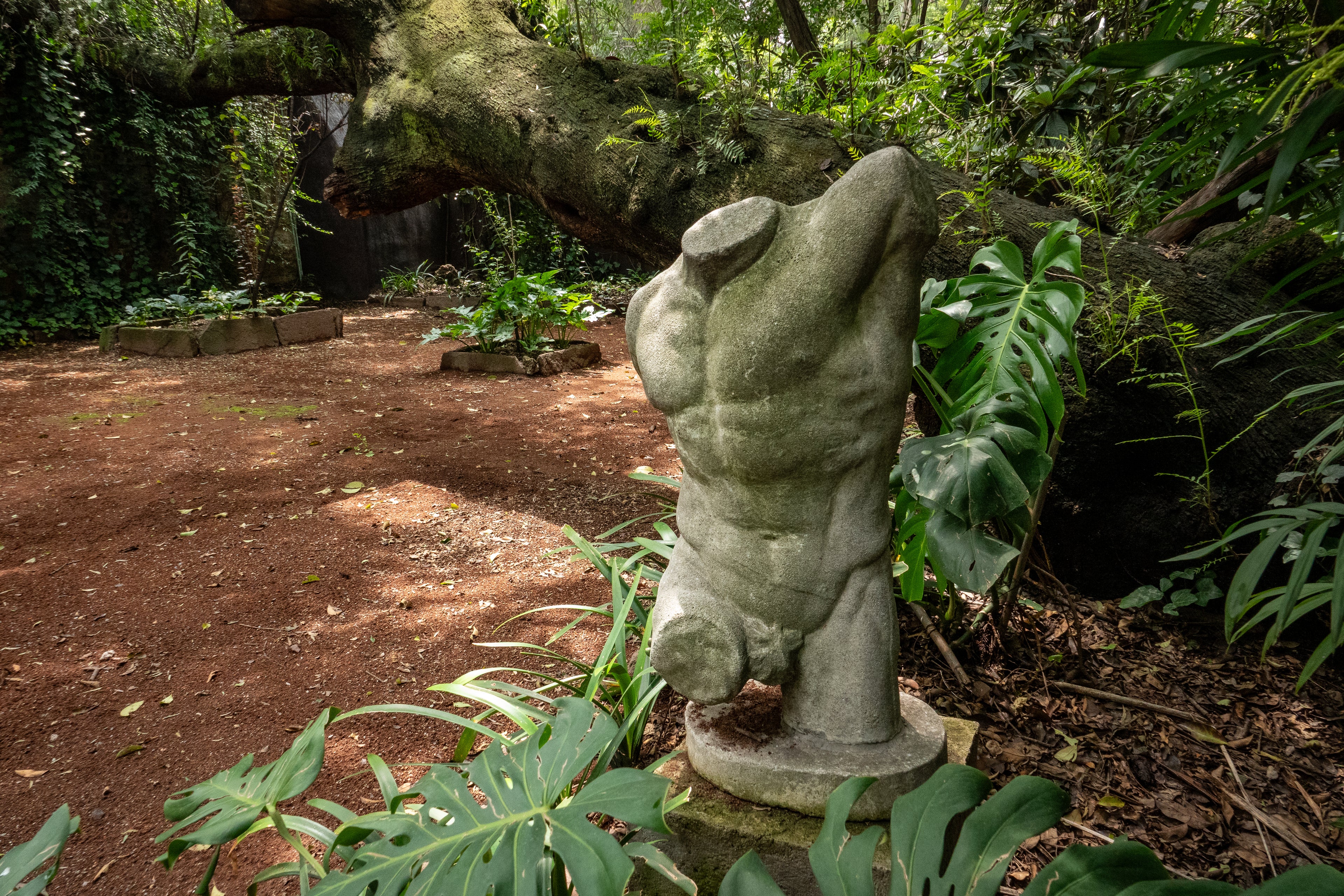 Casa Ortega: El Jardín Oculto de Barragán