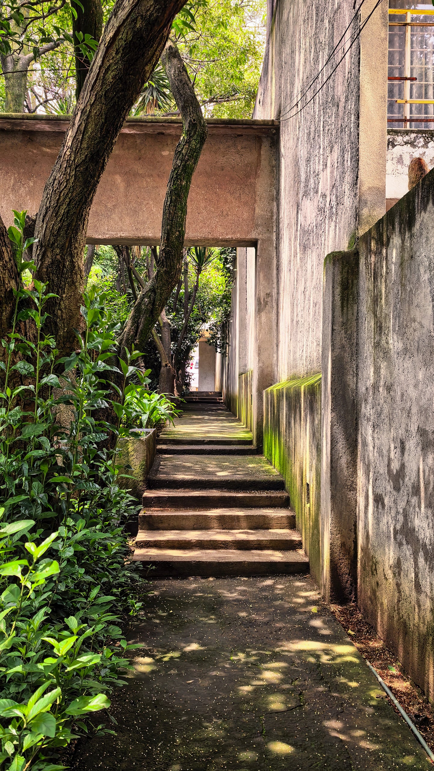 Casa Ortega: El Jardín Oculto de Barragán