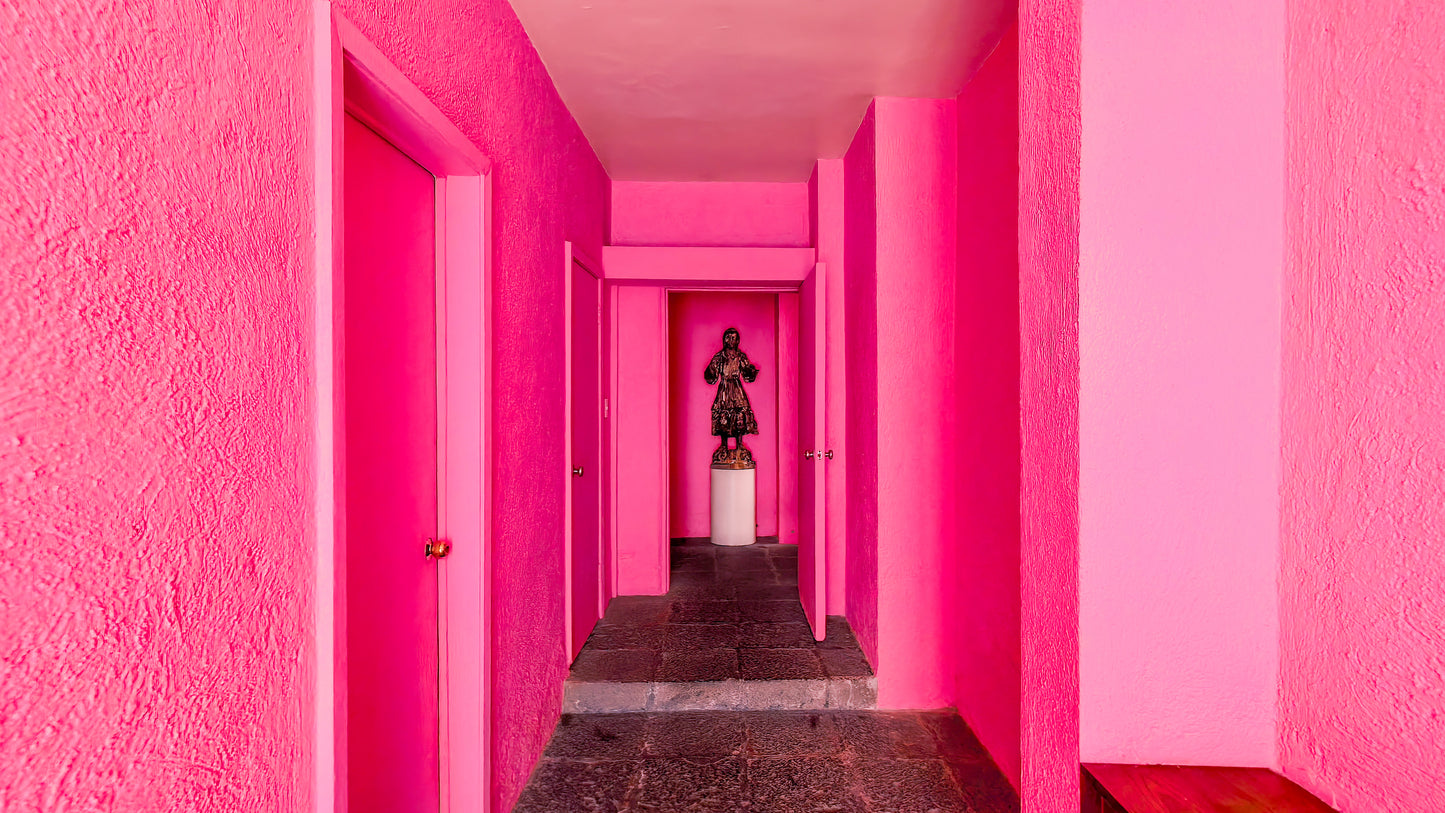 Casa Ortega: El Jardín Oculto de Barragán