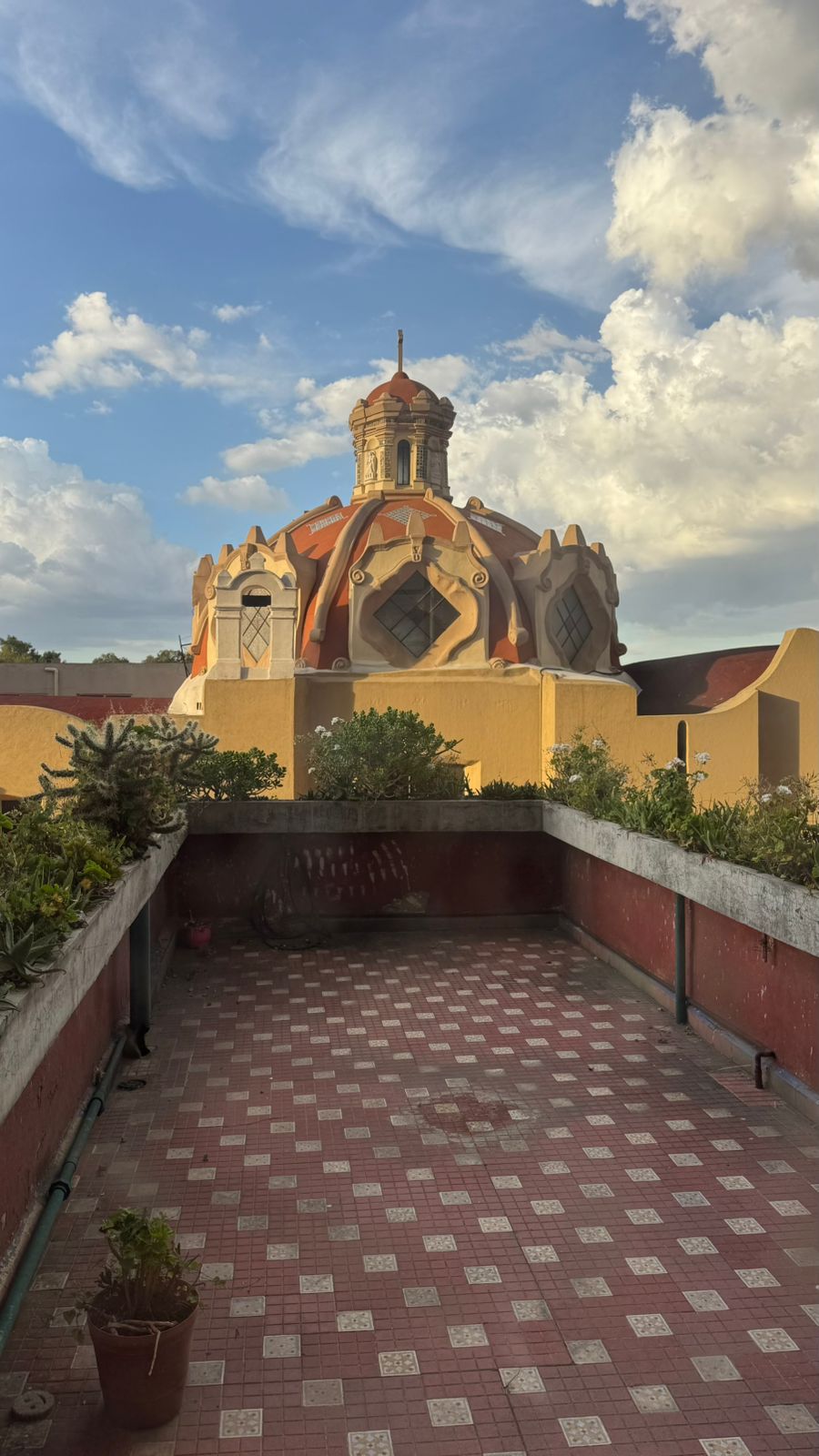 Arte con Onda MX en la San Rafael