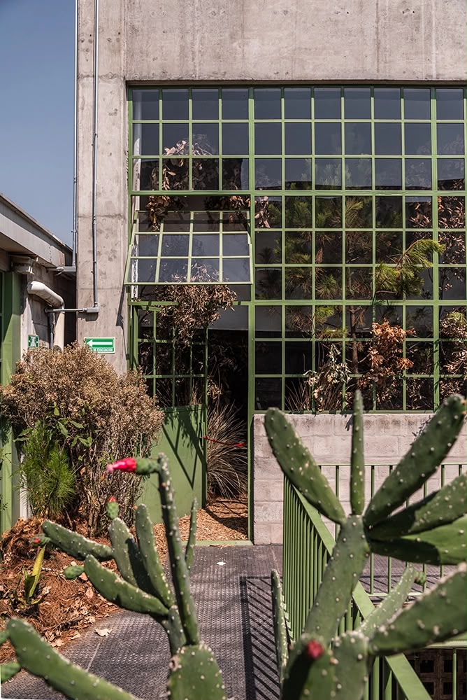 Laguna: Epicentro Creativo & Residencias Artísticas