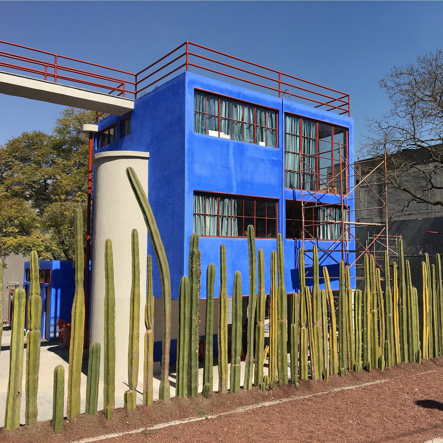 Diego y Frida: Arte y Arquitectura en San Ángel