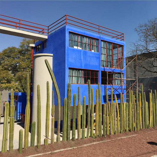 Diego y Frida: Arte y Arquitectura en San Ángel